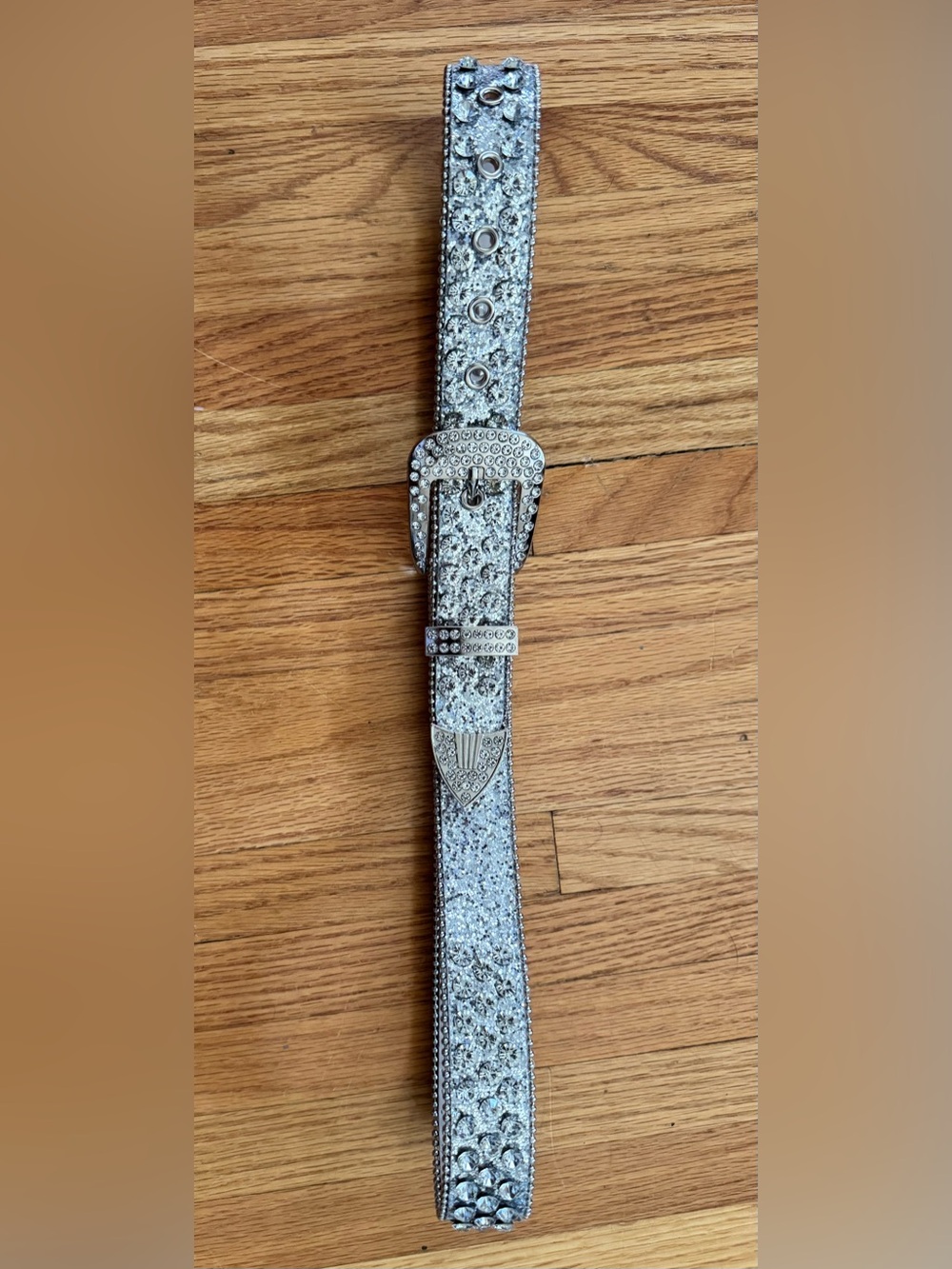 Rhinestone Silver Glitter Belt with Decorative Buckle Y2k